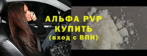 дживик Козельск