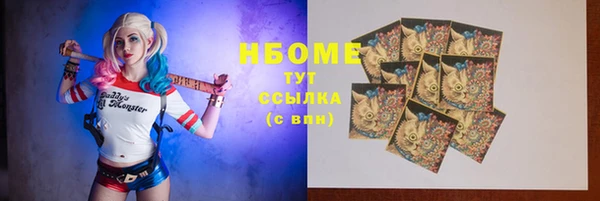 дживик Козельск