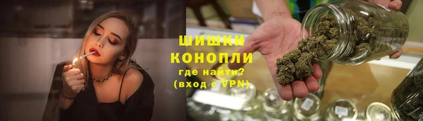 дживик Козельск