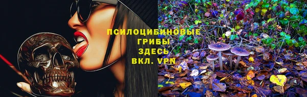 бутират Кодинск