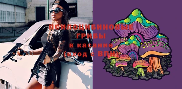первитин Козловка