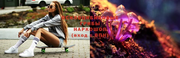 первитин Козловка