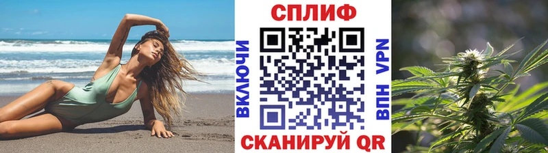 Купить закладки  Грязовец  Бошки Шишки THC 21% 